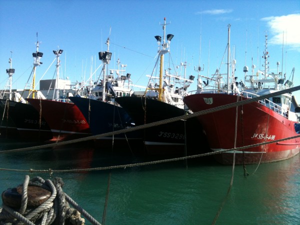 Barcos pesqueros atracados en el puerto de Getaria